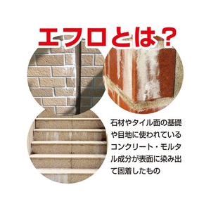 カンペハピオ 復活洗浄剤 エフロ用 300ml FCB726M-イメージ6