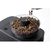 シロカ コーン式全自動コーヒーメーカー カフェばこPRO SC-C251 (K)-イメージ6