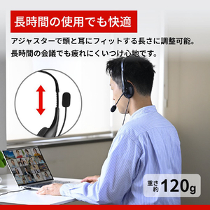 バッファロー 両耳ヘッドバンド式ヘッドセット USB接続 ブラック BSHSUH100BK-イメージ6