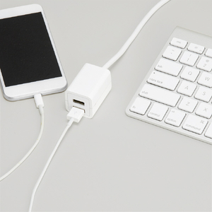 ヤザワ USBタップ ホワイト H72012UWH-イメージ3