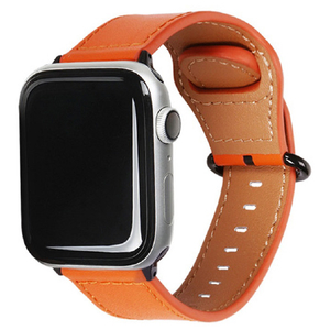 EGARDEN Apple Watch 49/46/45/44/42mm用バンド GENUINE LEATHER STRAP オレンジ EGD20588AW-イメージ1