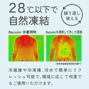 アルファックス バックーラー ﾊﾞﾂｸ-ﾗ--イメージ4