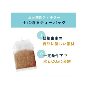 伊藤園 お～いお茶 エコティーバッグ ほうじ茶 50袋×5箱 FC851SU-イメージ5