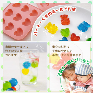 サンコー 誰でもかんたんグミ・チョコメーカー ホワイト GUMMAKSRD-イメージ4