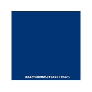 カンペハピオ ヌーロ 青 70ml FCB621M-イメージ2