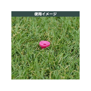 タバタ プラスリム ショートティー 40 60本 FCF732U-GV8002-イメージ3