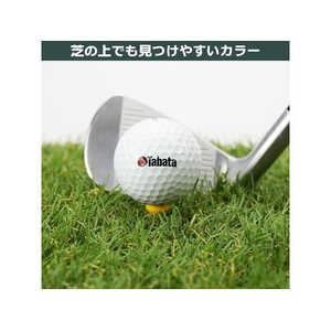 タバタ プラスリム ショートティー 40 60本 FCF732U-GV8002-イメージ4