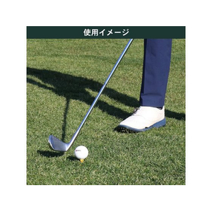タバタ プラスリム ショートティー 40 60本 FCF732U-GV8002-イメージ8