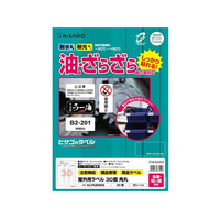 ヒサゴ 屋外用ラベル 油面・粗い面対応 A4 30面 角丸 10シート FC839YM-KLPAB900S