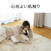 コイズミ KDC20253DE5 電気カーペット(2畳相当) e angle select