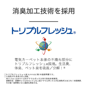 コイズミ 電気カーペット(2畳相当) e angle select KDC20253DE5-イメージ6