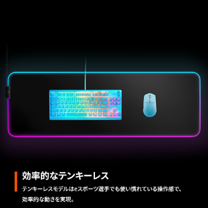 SteelSeries Apex 3 TKL - US 英語配列 Aqua 64933-イメージ2