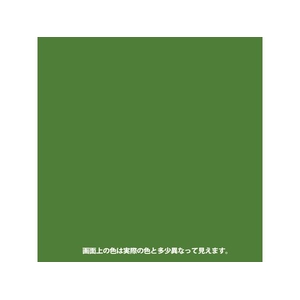 カンペハピオ ヌーロ きみどり 70ml FCB622M-イメージ2