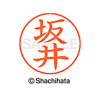 シヤチハタ ネームペン用ネーム シルバー 既製 坂井 FC46930-X-GPS-1159