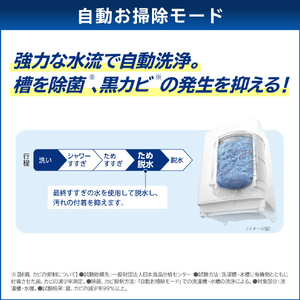 東芝 9.0kgインバーター全自動洗濯機 ZABOON グランホワイト AW-9DP5(W)-イメージ11