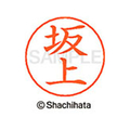 シヤチハタ ネームペン用ネーム シルバー 既製 坂上 FC46931-X-GPS-1160