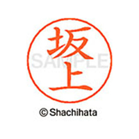 シヤチハタ ネームペン用ネーム シルバー 既製 坂上 FC46931-X-GPS-1160