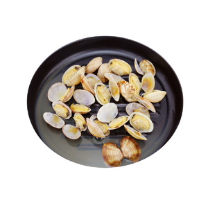 TO－PLAN レンジで焼ケ～ル(深型) 蒸しプレート付き ワインレッド TKSM-34-イメージ9
