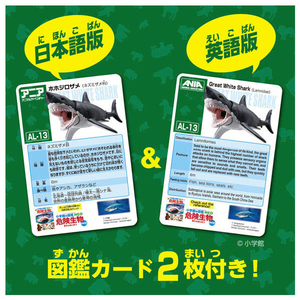 タカラトミー アニア AL-13 ホホジロザメ (水に浮くVer.) ｱﾆｱAL13ﾎﾎｼﾞﾛｻﾞﾒﾐｽﾞﾆｳｸVER-イメージ5