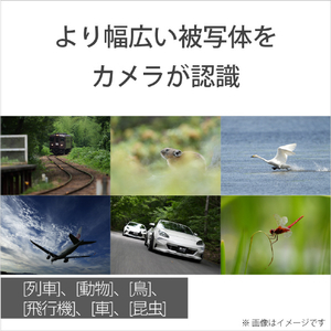 SONY デジタル一眼カメラ・ボディ Cinema Line ILME-FX2B-イメージ10