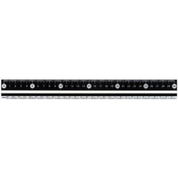 レイメイ 見やすい白黒定規 30cm ブラック F033442-APJ281B