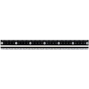 レイメイ 見やすい白黒定規 30cm ブラック F033442-APJ281B-イメージ1