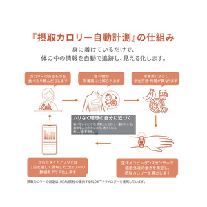 シャープ スマートウォッチ シルバー MH-W01-S-イメージ3