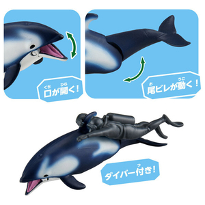 タカラトミー アニア AL-40 カマイルカ(ダイバー付き) (水に浮くVer.) ｱﾆｱAL40ｶﾏｲﾙｶﾐｽﾞﾆｳｸVER-イメージ3