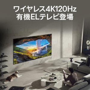 LGエレクトロニクス 77V型4Kチューナー内蔵4K対応有機ELテレビ【壁掛け専用】 OLED77M3PJA-イメージ3