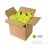 Franklin X-40 Pickleball-Optic-100Pack Box FCD569L-52843X-イメージ2