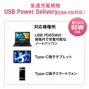 サンワサプライ USB PD対応AC充電器(PD65W・Type-Cケーブル付き) ACA-PD91BK-イメージ8