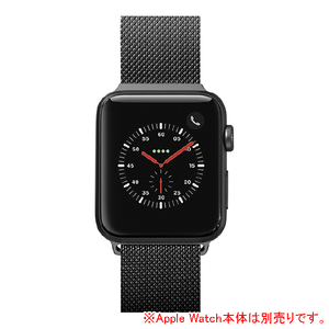 LAUT Apple Watch 1/2/3/4/5/6/SE 38/40mm用バンド ブラック LAUT_AWS_ST_BK-イメージ1