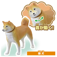 タカラトミー ｱﾆｱﾜﾝﾆﾔﾝﾆｷﾞﾔｶｾﾂﾄ アニア わんにゃんにぎやか