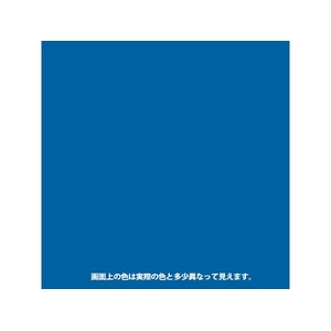 カンペハピオ ヌーロ スカイブルー 70ml FCB628M-イメージ2