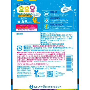 カンロ ピュレリング ソーダ FCE063W-イメージ2