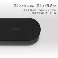 SONY HAC1000XM6CB ヘッドフォンアクセサリー WF-1000XM6専用ケース
