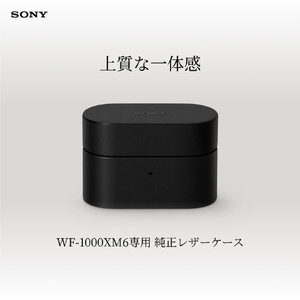 SONY ヘッドフォンアクセサリー WF-1000XM6専用ケースカバー ブラック HAC1000XM6CB-イメージ2