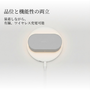 SONY ヘッドフォンアクセサリー WF-1000XM6専用ケースカバー ブラック HAC1000XM6CB-イメージ4