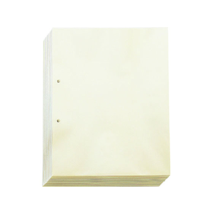 専用　透明 キングジム F861657-103-100 透明ポケット 中紙付 A4タテ 2穴 100枚