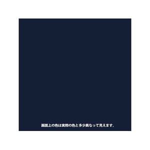 カンペハピオ ヌーロ 紺 70ml FCB630M-イメージ2