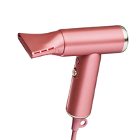 ドクターエア BDR-01GD ミラジェットドライヤー シャンパンゴールド