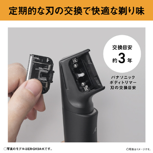 パナソニック ボディトリマー(替刃) ライトグレー ER-9K01-H-イメージ3