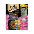 マースジャパン シーバ デュオ 12ヶ月までの子ねこ用 香りのまぐろ味セレクション 200g FC097NA