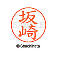 シヤチハタ ネームペン用ネーム シルバー 既製 坂崎 FC46935-X-GPS-1164