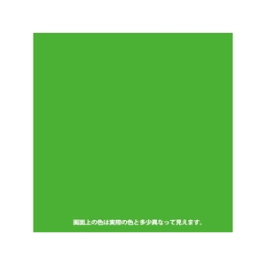 カンペハピオ ヌーロ 蛍光グリーン 70ml FCB632M-イメージ2