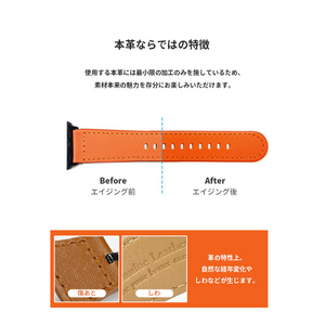 EGARDEN Apple Watch 42/41/40/38mm用バンド GENUINE LEATHER STRAP ディープグリーン EGD20603AW-イメージ6