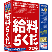 BSLシステム研究所 給料らくだプロ27 シリアル版 らくだシリーズ ｷﾕｳﾘﾖｳﾗｸﾀﾞﾌﾟﾛ27WC