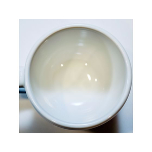 ケミコート 超電水クリーンシュ!シュ! 詰替用1000ml 000126 FC803RL-000126-イメージ5