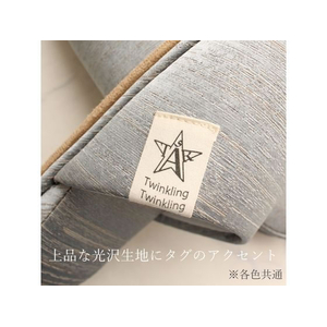 ストロング スリッパ 来客用 Twinkling グリーン L FC752YN-75-1-803-03-イメージ6