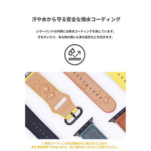 EGARDEN Apple Watch 42/41/40/38mm用バンド GENUINE LEATHER STRAP ブラック EGD20605AW-イメージ12